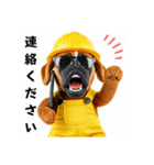 ボクサー犬の現場仕事⭐グラサン犬（個別スタンプ：15）