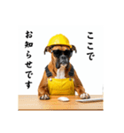 ボクサー犬の現場仕事⭐グラサン犬（個別スタンプ：37）