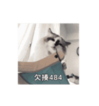 猫てぇてぇ 2（個別スタンプ：2）