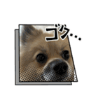 パーティーカラーのポメラニアンです（個別スタンプ：13）