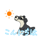 ゆるーいミニチュアシュナウザー（個別スタンプ：2）