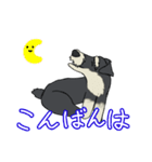 ゆるーいミニチュアシュナウザー（個別スタンプ：3）