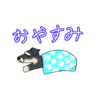 ゆるーいミニチュアシュナウザー（個別スタンプ：4）