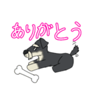 ゆるーいミニチュアシュナウザー（個別スタンプ：5）