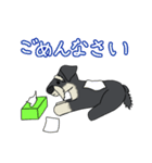 ゆるーいミニチュアシュナウザー（個別スタンプ：6）