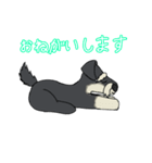ゆるーいミニチュアシュナウザー（個別スタンプ：7）