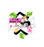 吹き出し風文字LINEスタンプ、yamami（個別スタンプ：3）