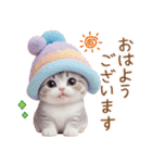 スコティッシュ猫 カラフル可愛い日常 敬語（個別スタンプ：1）