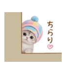 スコティッシュ猫 カラフル可愛い日常 敬語（個別スタンプ：23）