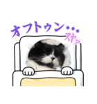 まぐにゃんの毎日（個別スタンプ：2）