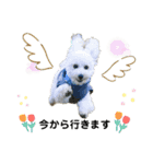まるぷーのクオレさん（個別スタンプ：9）