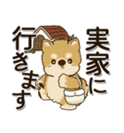 柴犬・茶色い犬 『お出かけ専用』2024（個別スタンプ：18）