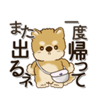 柴犬・茶色い犬 『お出かけ専用』2024（個別スタンプ：27）