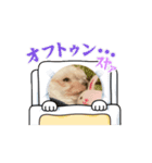 コロンビーム3（個別スタンプ：1）