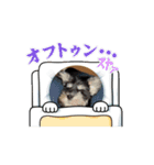 はちこたねぎ（個別スタンプ：2）