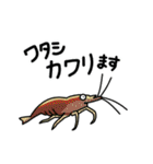 日本淡水魚とその仲間たち（個別スタンプ：1）