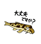 日本淡水魚とその仲間たち（個別スタンプ：3）