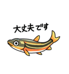 日本淡水魚とその仲間たち（個別スタンプ：4）