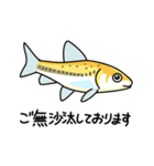 日本淡水魚とその仲間たち（個別スタンプ：27）