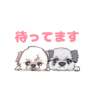 ここともか（個別スタンプ：1）