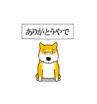 よく職務質問をうける柴犬2（個別スタンプ：3）