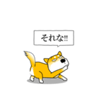 よく職務質問をうける柴犬2（個別スタンプ：4）