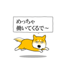 よく職務質問をうける柴犬2（個別スタンプ：6）