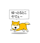 よく職務質問をうける柴犬2（個別スタンプ：8）