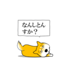 よく職務質問をうける柴犬2（個別スタンプ：12）