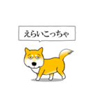 よく職務質問をうける柴犬2（個別スタンプ：19）