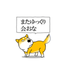 よく職務質問をうける柴犬2（個別スタンプ：22）