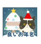 【冬】ハチワレぶーにゃんの年末年始と日常（個別スタンプ：9）