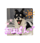 ぽんポンPONちゃん（個別スタンプ：1）