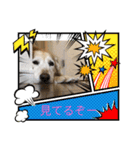 癒しになる犬のスタンプ（個別スタンプ：5）