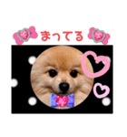 ぱんだ うさぎ ドーナツ 犬のはるです（個別スタンプ：2）