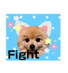 ぱんだ うさぎ ドーナツ 犬のはるです（個別スタンプ：3）