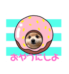 ぱんだ うさぎ ドーナツ 犬のはるです（個別スタンプ：4）