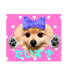 ぱんだ うさぎ ドーナツ 犬のはるです（個別スタンプ：7）