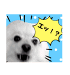 ぱんだ うさぎ ドーナツ 犬のはるです（個別スタンプ：8）