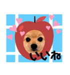 ぱんだ うさぎ ドーナツ 犬のはるです（個別スタンプ：9）