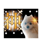 ぱんだ うさぎ ドーナツ 犬のはるです（個別スタンプ：11）