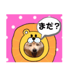 ぱんだ うさぎ ドーナツ 犬のはるです（個別スタンプ：12）