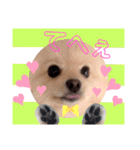 ぱんだ うさぎ ドーナツ 犬のはるです（個別スタンプ：15）