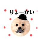 ぱんだ うさぎ ドーナツ 犬のはるです（個別スタンプ：18）