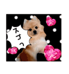 ぱんだ うさぎ ドーナツ 犬のはるです（個別スタンプ：22）