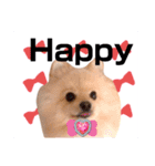 ぱんだ うさぎ ドーナツ 犬のはるです（個別スタンプ：30）