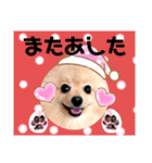 ぱんだ うさぎ ドーナツ 犬のはるです（個別スタンプ：34）