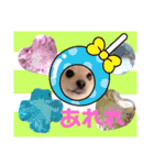 ぱんだ うさぎ ドーナツ 犬のはるです（個別スタンプ：35）