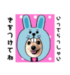 ぱんだ うさぎ ドーナツ 犬のはるです（個別スタンプ：36）