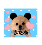 ぱんだ うさぎ ドーナツ 犬のはるです（個別スタンプ：39）